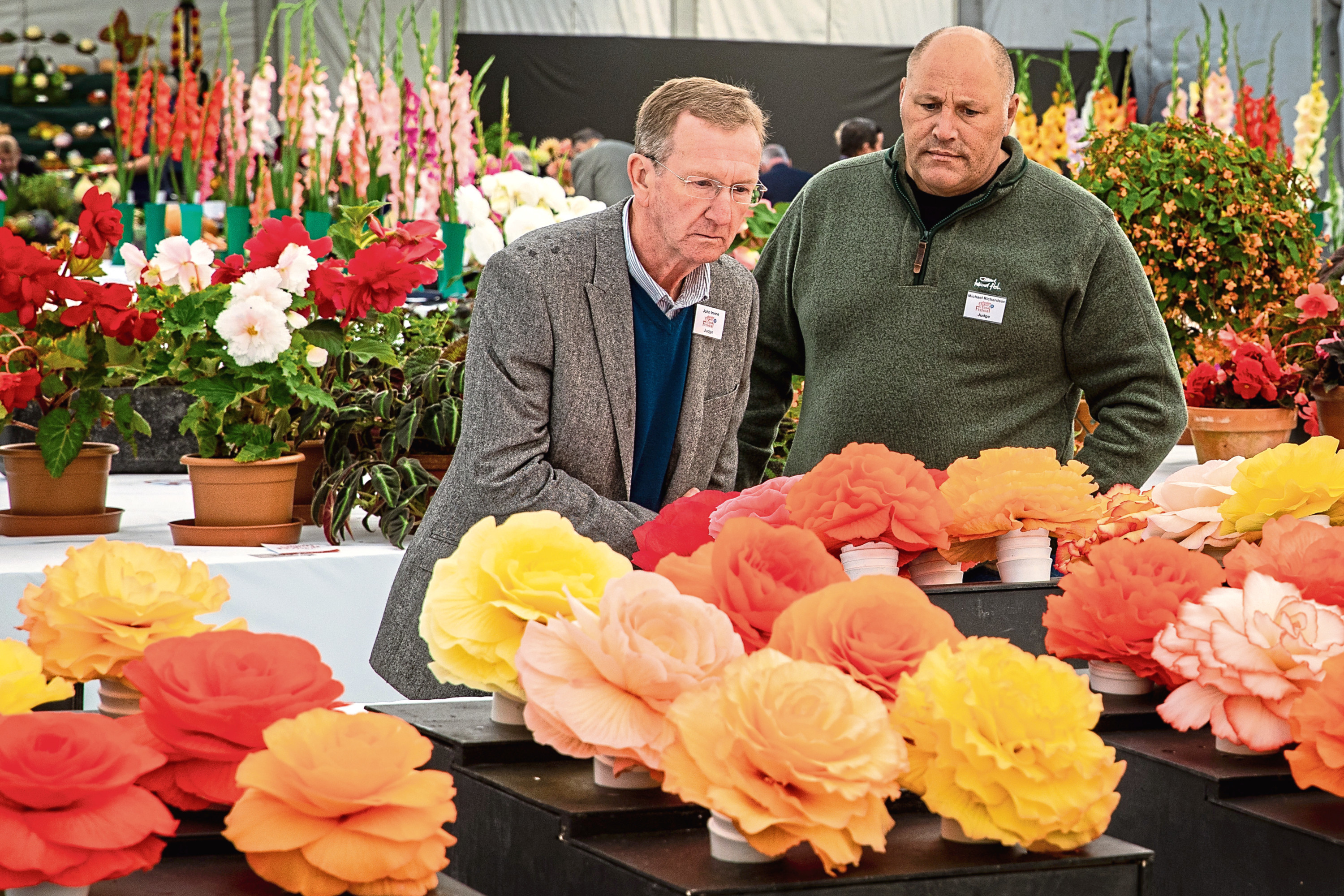 VIDEO Hundreds flock to Camperdown for Dundee Flower and Food Festival