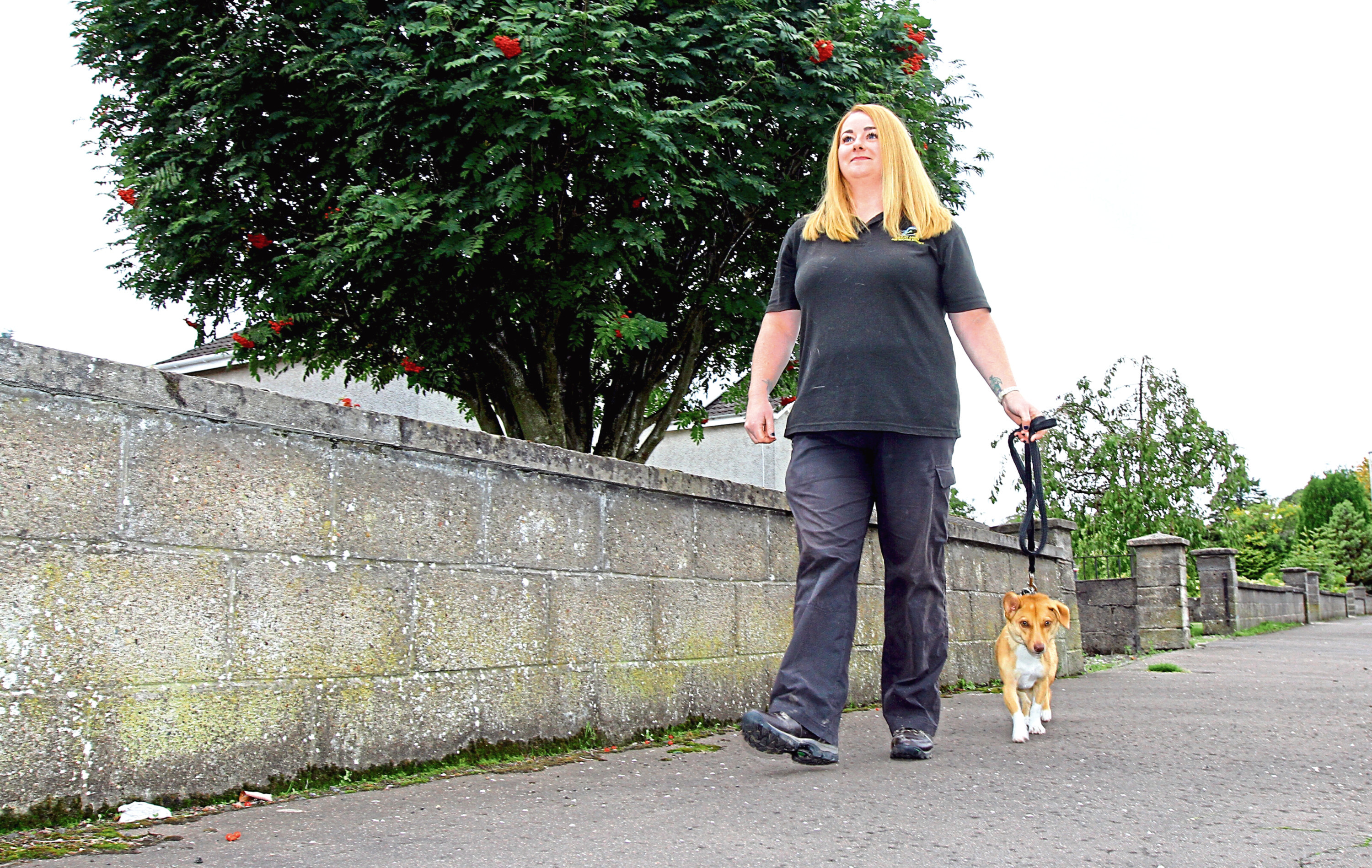 Professional Dundee dog walker slams man who tried to steal client’s