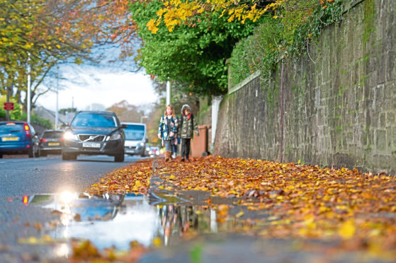 Uncleared fallen leaves on the pavement,