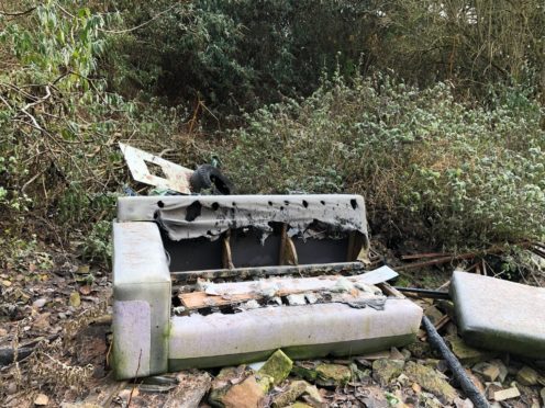 The fly-tipping in Camperdown Park