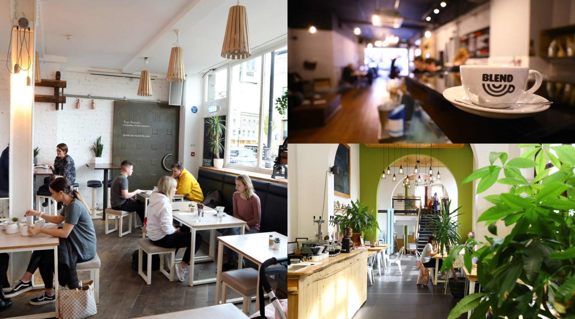 Eight of our favourite dogfriendly pubs and cafes in Dundee Evening