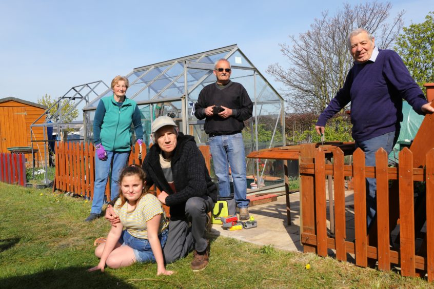 Allotments provide a reprieve for greenfingered Dundonians during