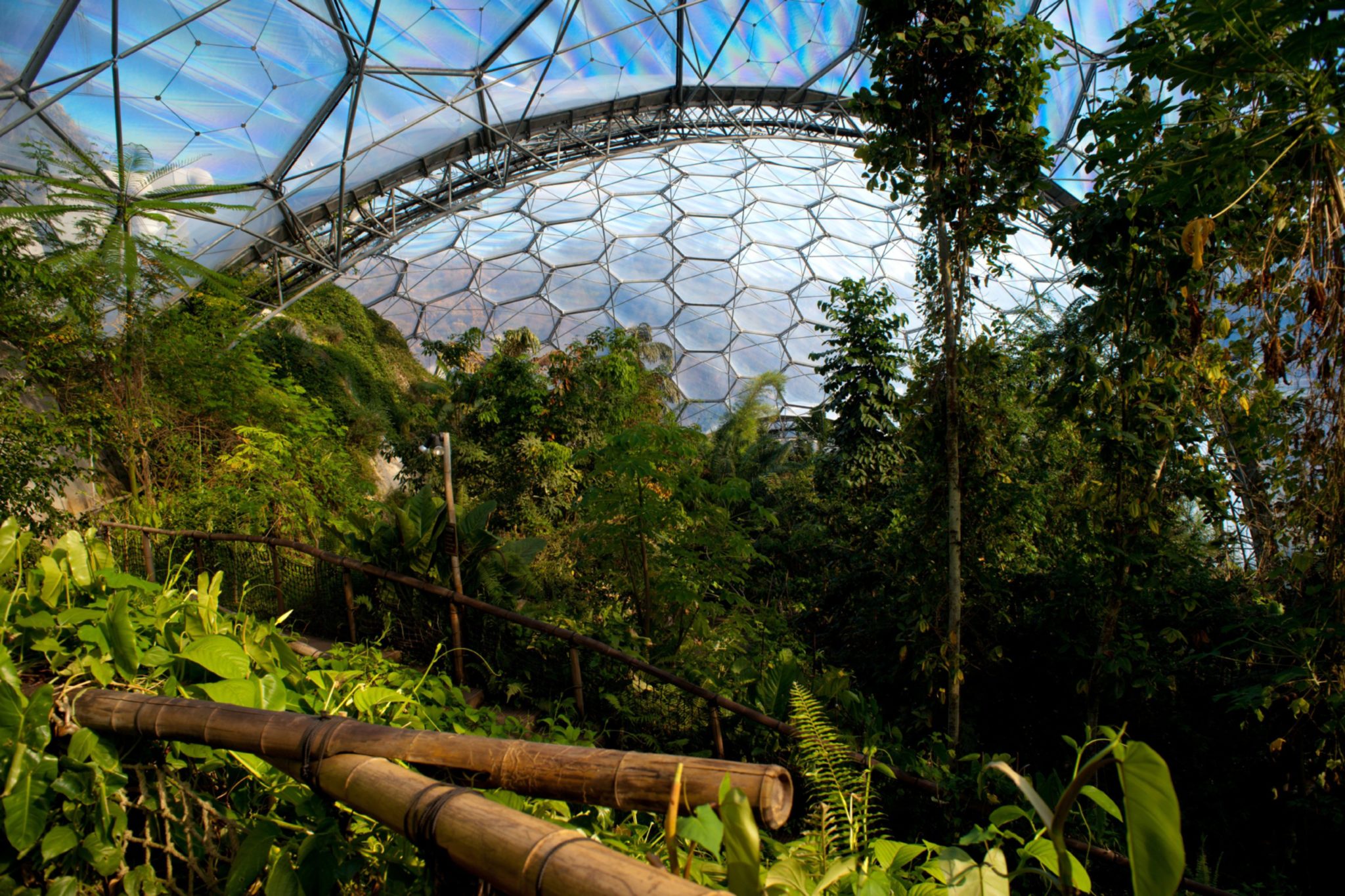 The Eden Project: Oasis, Amy Winehouse and Paolo Nutini have all