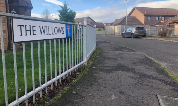 The Willows.