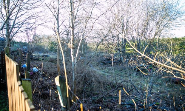 General view of the ground on which the new development is planned.