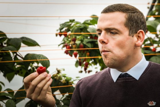 Douglas Ross on a visit to East Seaton Farm, Arbroath.