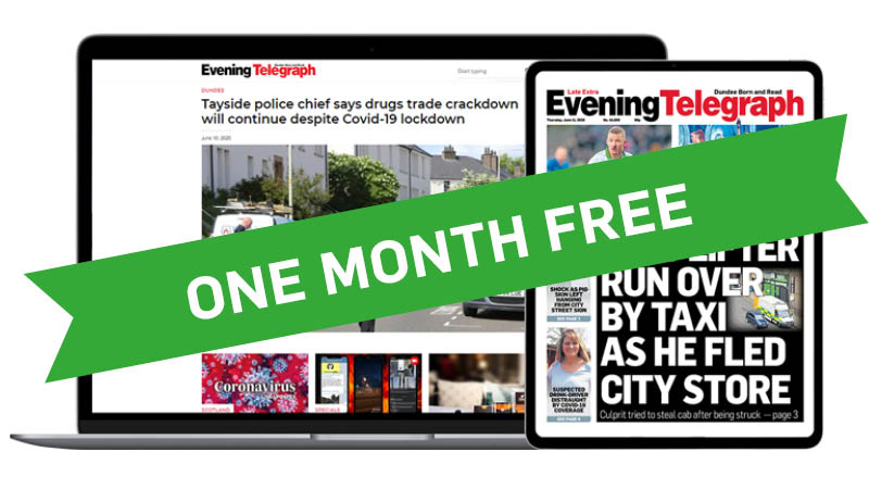 Free Web + ePaper Pack