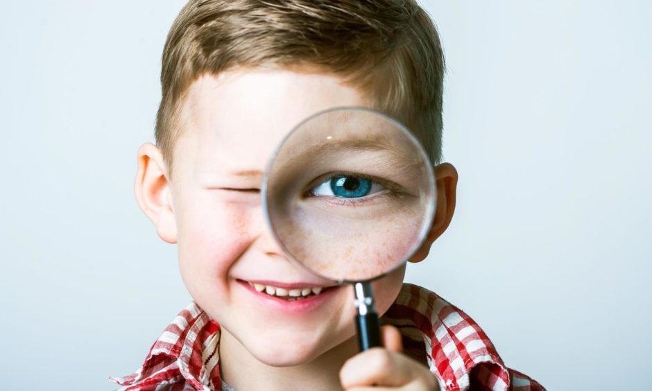 scottish school inspections