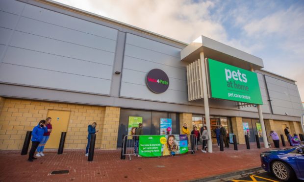 Pets At Home in Perth