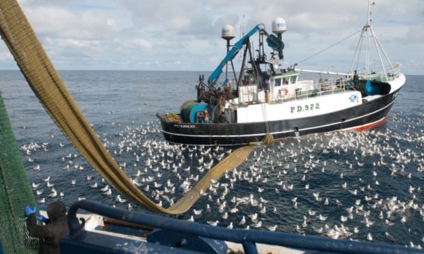 Fishing groups are calling for a new panel to be set up