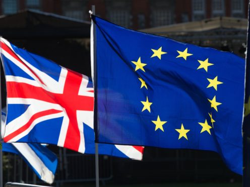 Concerns have been raised over the post-Brexit musical landscape (Jonathan Brady/PA)