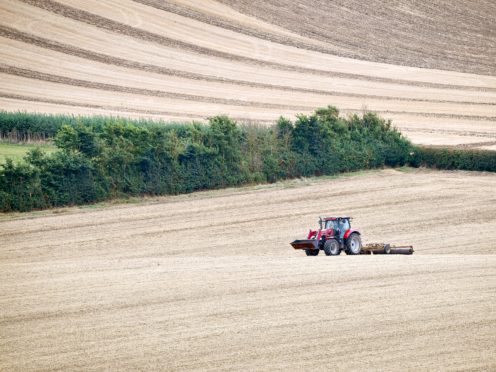 Campaigners call for transformation in how land is managed ahead of UN report (Ben Birchall/PA)