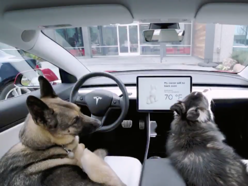 Tesla is ‘fixing’ an issue with its Dog Mode (Tesla/PA)