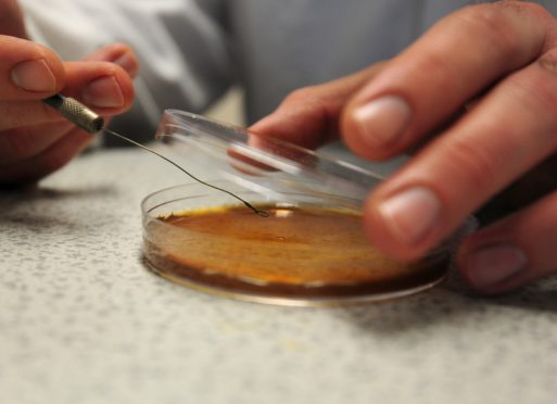 DNA changes throughout a person’s life can significantly increase their susceptibility to heart conditions and other age-related diseases, research suggests (Lauren Hurley/PA)