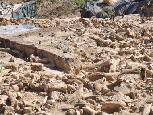 Bone circles made from mammoth remains (Alex Pryor/University of Exeter)