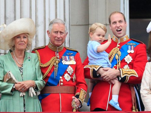 Charles and William have appointed two NHS spin doctors to oversee their communications (Jonathan Brady/PA).