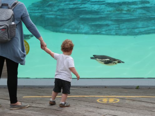 Outdoor attractions and accommodation firms are preparing for a rush of visitors when they reopen on Monday (Peter Byrne/PA)