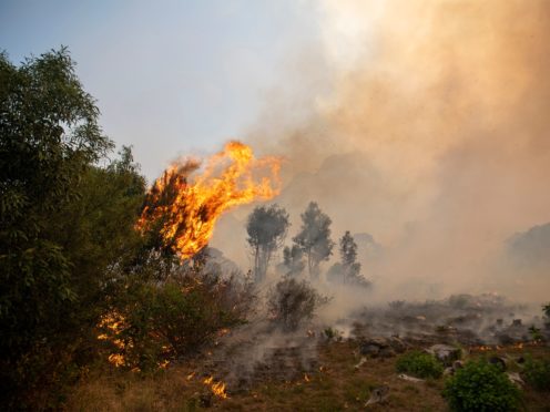 A fire rages out of control on the slopes of Table Mountain in Cape, South Africa (AP)