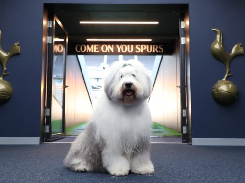 Jose Mourinho did not want to comment on the controversy surrounding Tottenham’s new sponsor Dulux (Dulux handout/PA)