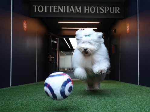 Tottenham announced Dulux as the club’s official paint supplier but were then mocked on Twitter (Dulux handout/PA)