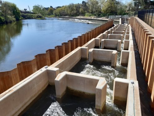 The Diglis fish pass in Worcester will help twaite shad navigate further up the River Severn (Unlocking The Severn/PA)