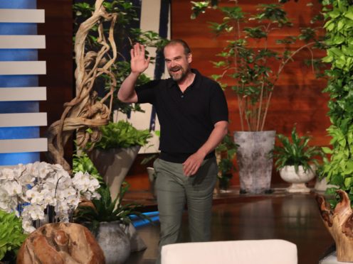 Stranger Things star David Harbour said becoming a stepfather to wife Lily Allen’s two daughters has changed his life (Michael Rozman/ Warner Bros/PA)