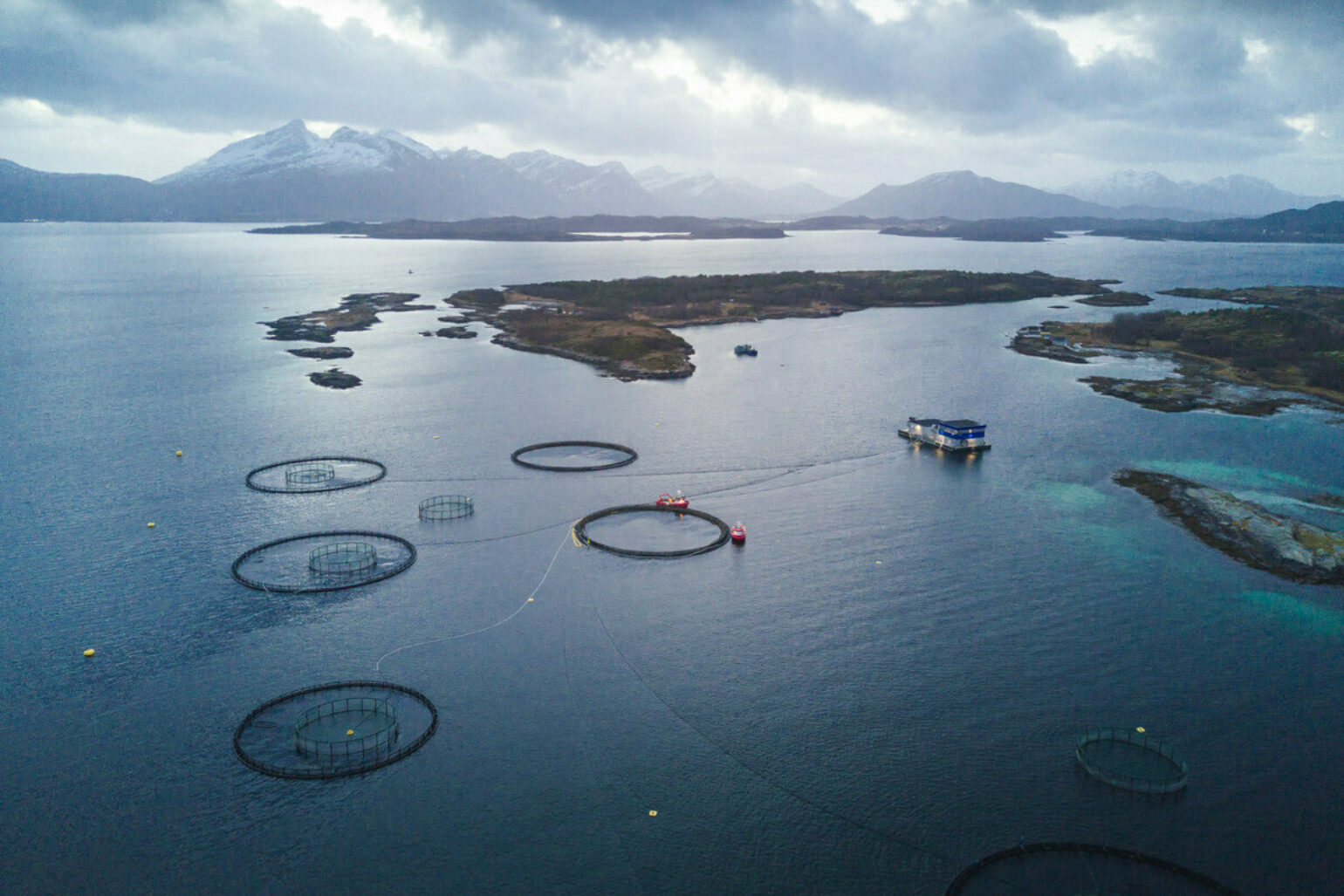Salmon industry making major sustainability strides report Fish Farmer Magazine