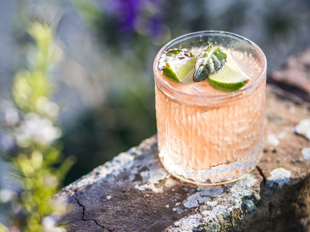 The refreshing Floradora cocktail