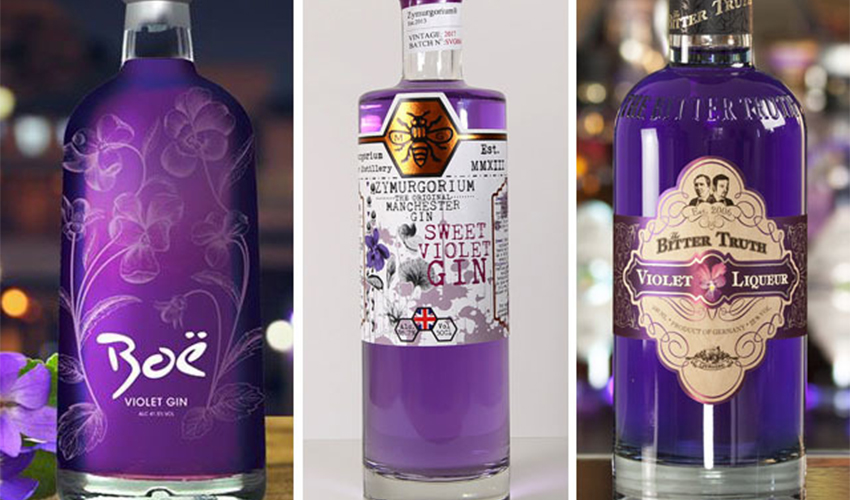 7 Violet Gins You Ought to Try The Gin Kin