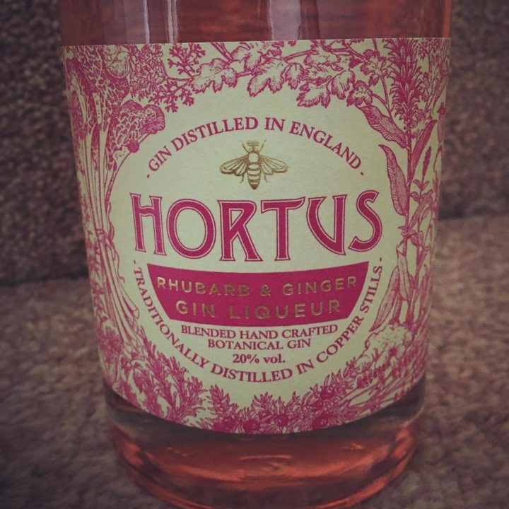 Lidl's Rhubarb and Ginger Gin Liqueur is a seasonal delight The Gin Kin