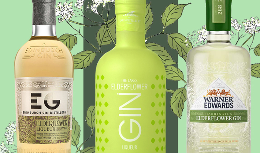 Elderflower gin - 7 gorgeous tipples that are summer in a glass | Gin Kin