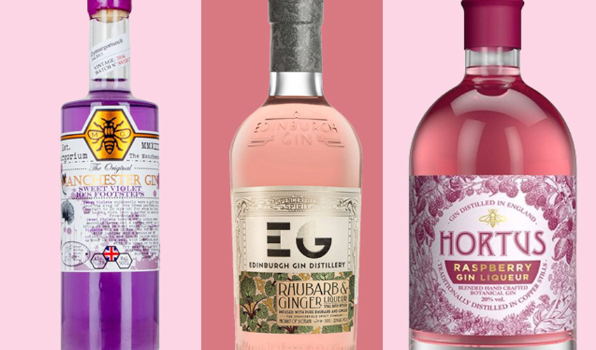 Gin Liqueur the 21 Best and Tastiest on the Market Now The Gin Kin