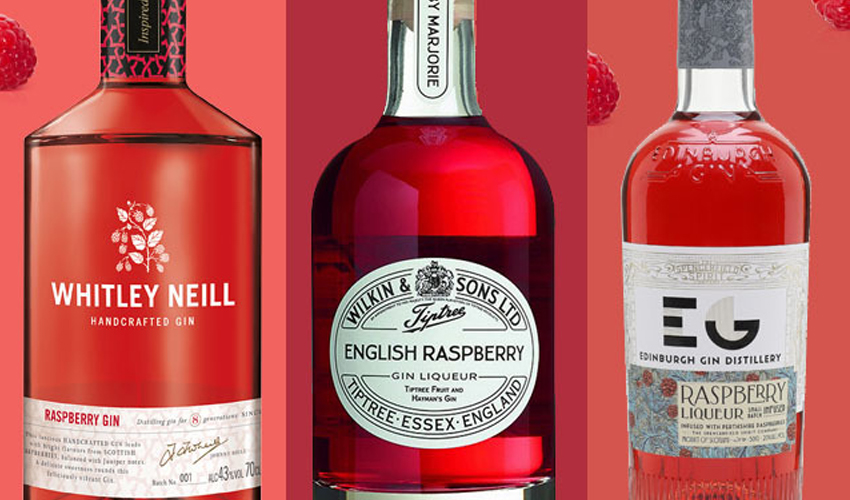 Raspberry Gin 6 of the Best You Need to Try Gin Kin