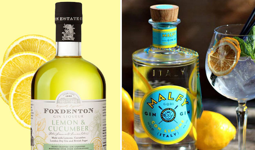 9 Citrus Gins That Are Just So Refreshing The Gin Kin