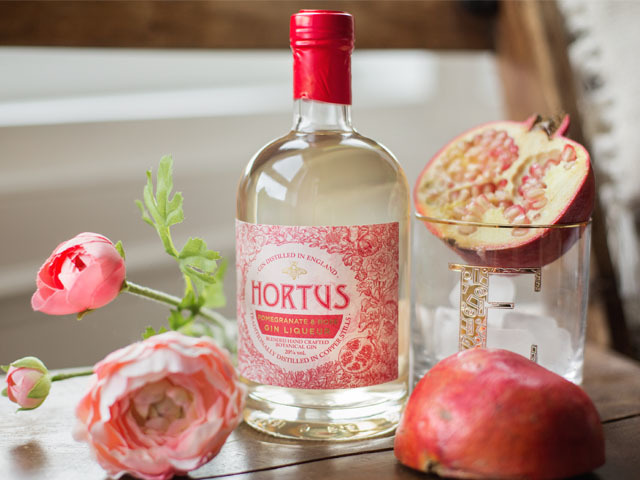 hortus pomegranate rose gin liqueur review lidl Featured Image for REVIEW: Lidl Pomegranate and Rose Gin Liqueur