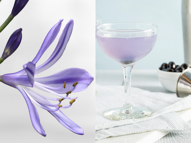 Aviation Featured Image for Make your own Creme de Violette liqueur