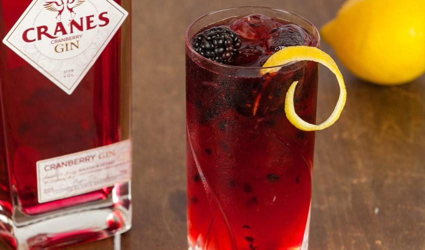 christmas gin cocktails