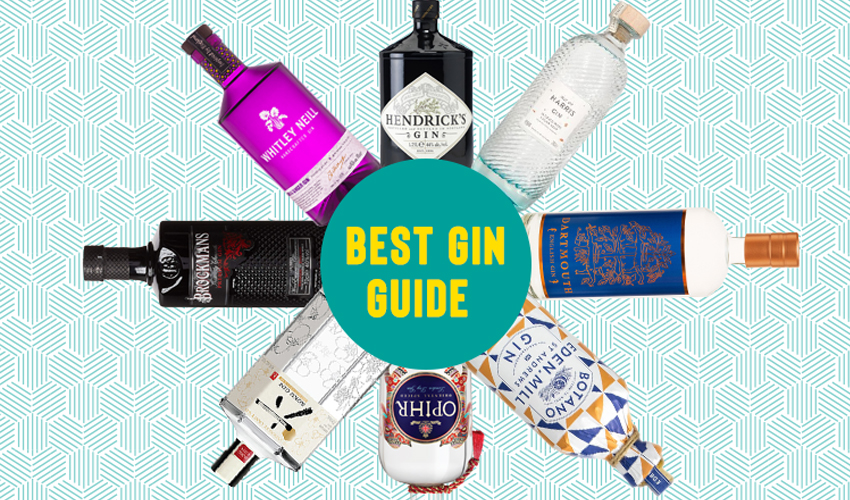 Best Gin 2020 25 Best Gin Brands You Ought to Try