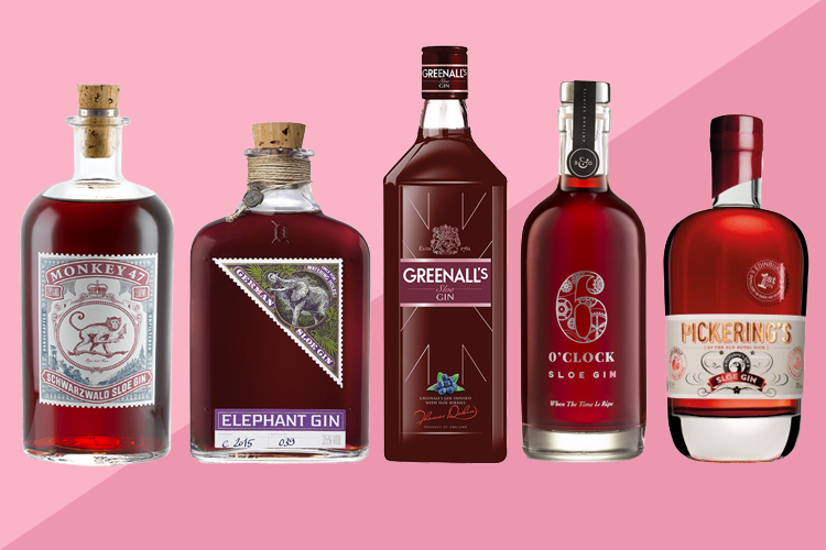 Best Sloe Gin Guide - Where to Buy Sloe Gin | Gin Kin