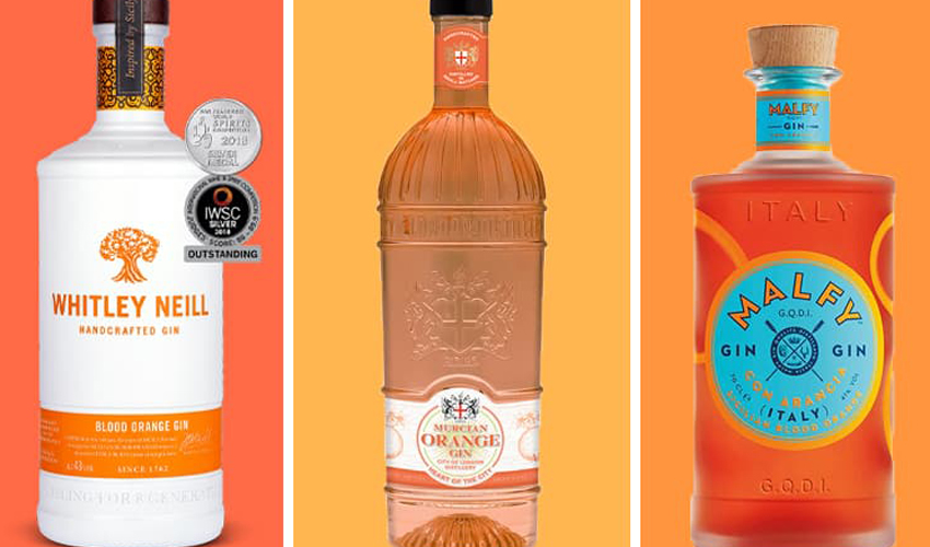 Blood Orange Gin 9 Best Blood Orange Gin & Liqueurs You Should Try