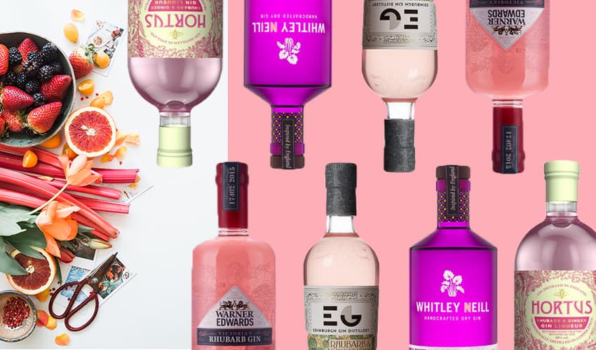 Rhubarb gin recipe Featured Image for Here's How You Can Make Your Own Rhubarb Gin