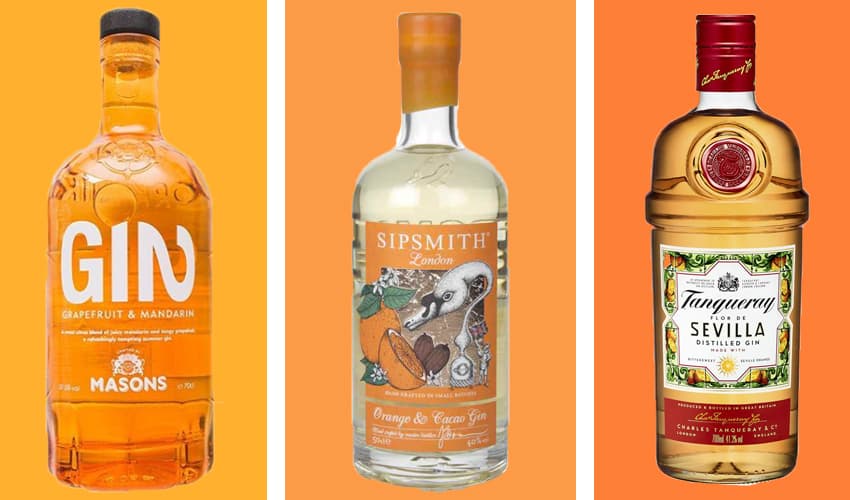 Best Orange Gin 15 Orange Gins And Liqueurs You Must Try The Gin Kin