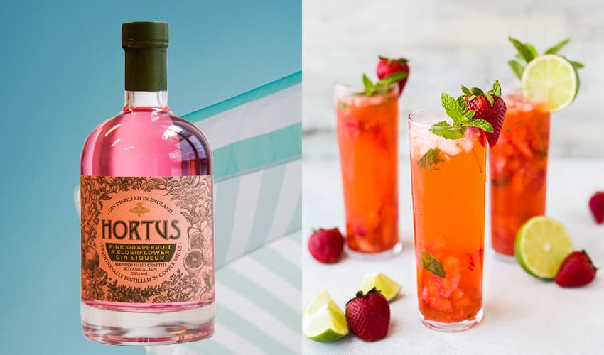 Hortus Grapefruit Elderflower Liqueur Looks Like A Summer Dream