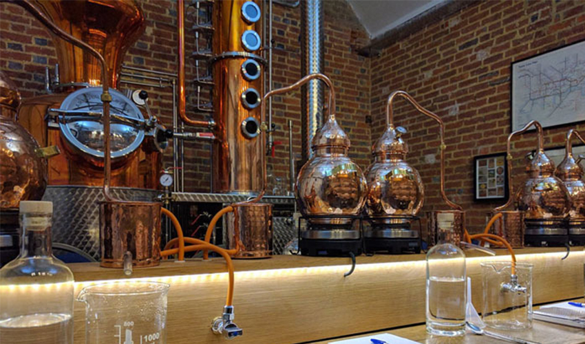 local gin distillery tours