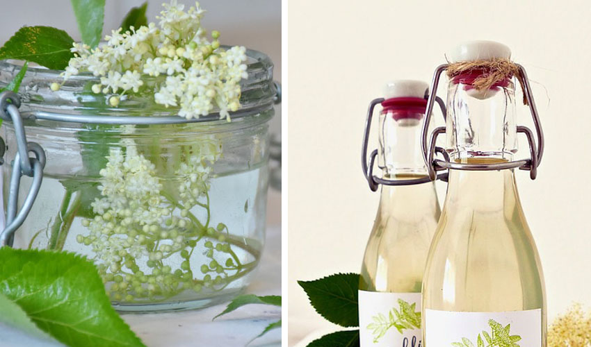 Elderflower Gin Recipe - How To Make Elderflower Gin | Gin Kin