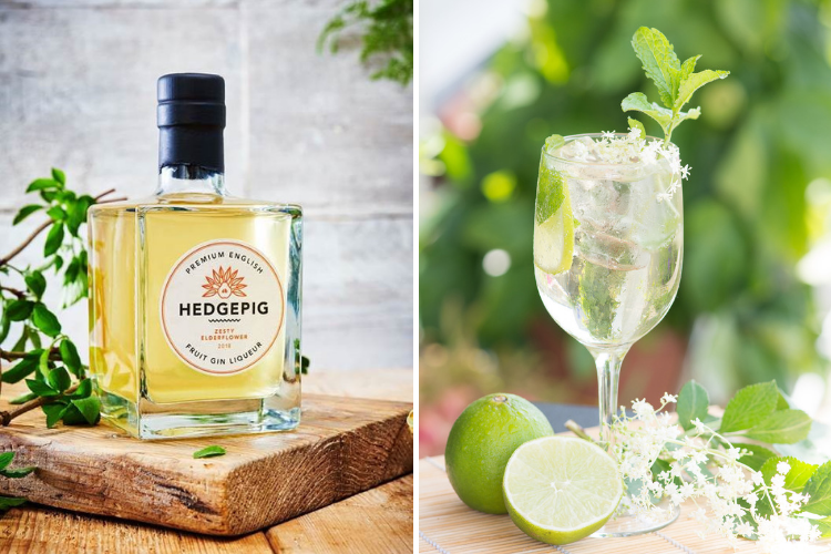 hedgepig Featured Image for Review: Hedgepig Zesty Elderflower Gin Liqueur