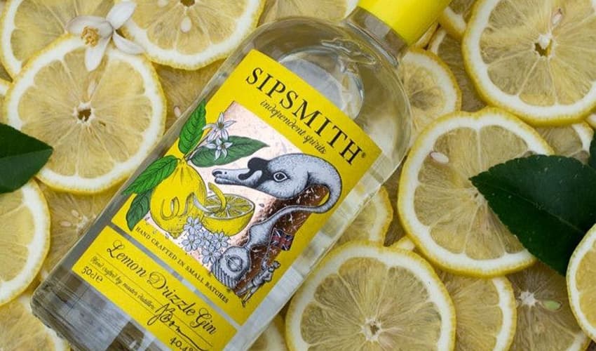 12 Best Lemon Gins You Should Be Pouring Into Your G&T Gin Kin
