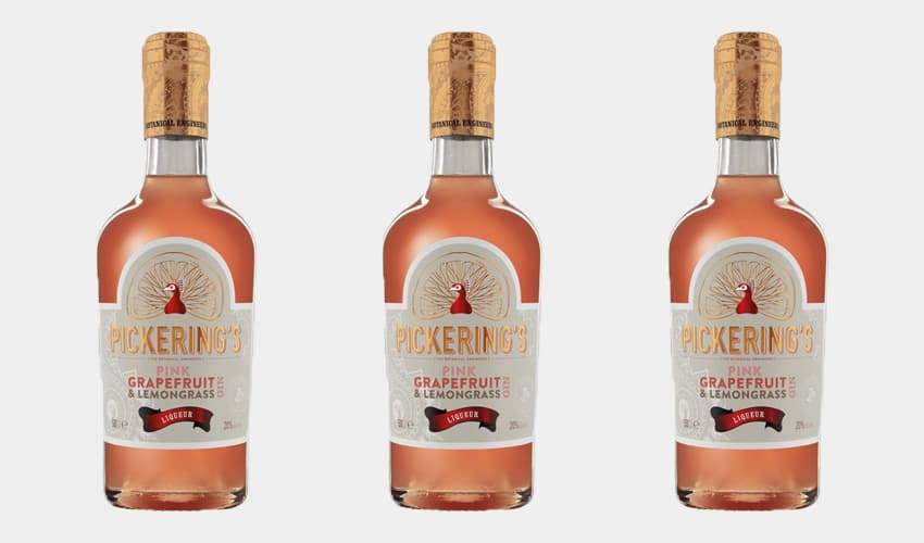 Best Grapefruit Gin 12 Fruity Tipples You Need to Try Gin Kin