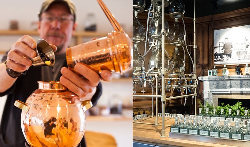 14 Best Gin Making Experiences UK Has to Offer For Gin Lovers