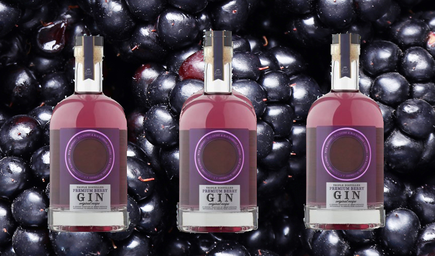 ASDA Releases Brand New Purple Berry Gin The Gin Kin